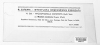 Mycosphaerella manihotis image